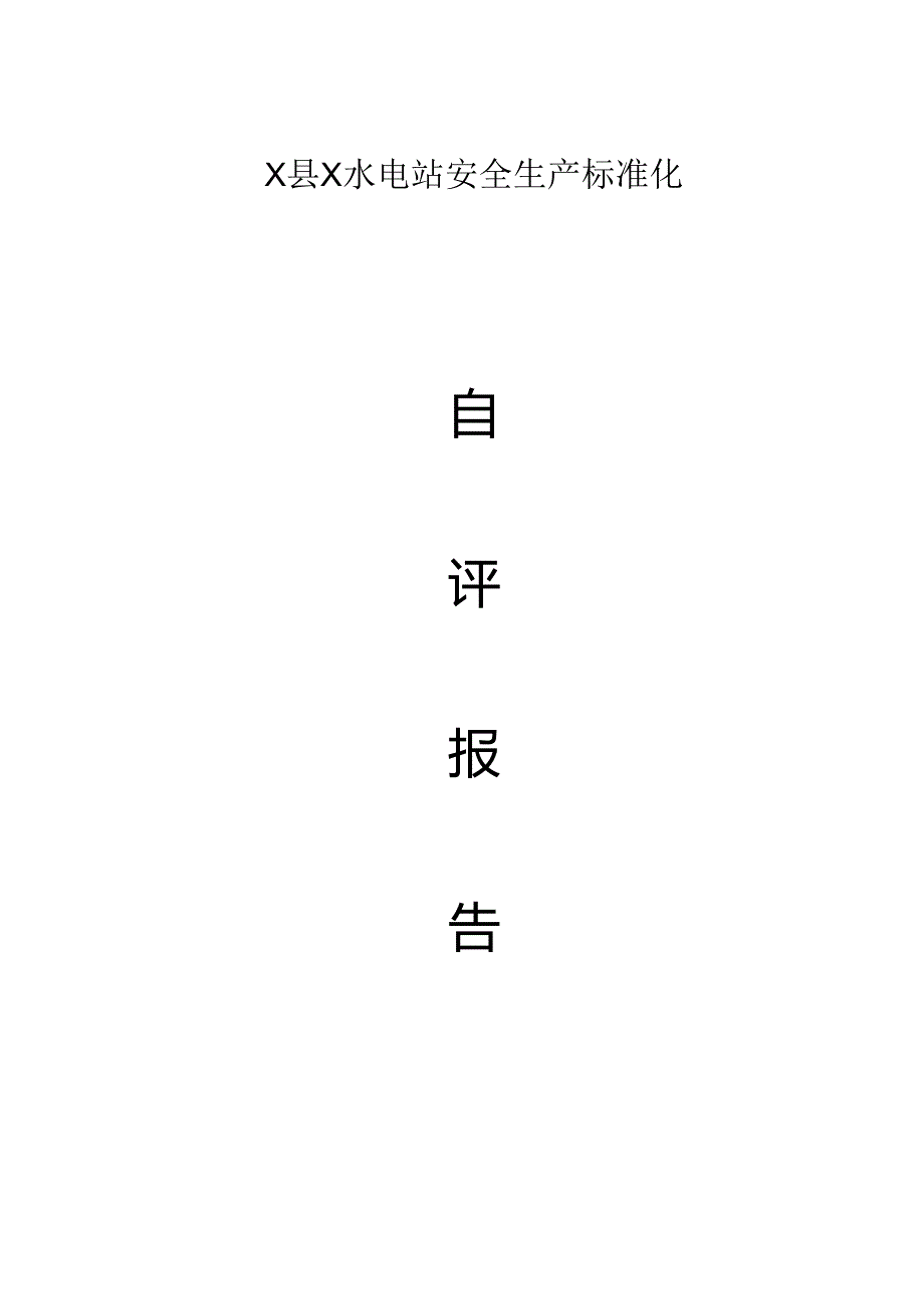 二级安全生产标准化自评报告(整套资料）水电站.docx_第1页