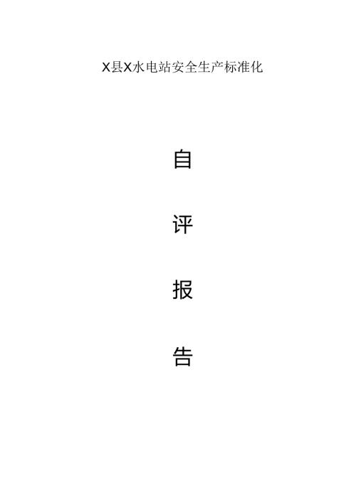 二级安全生产标准化自评报告(整套资料）水电站.docx