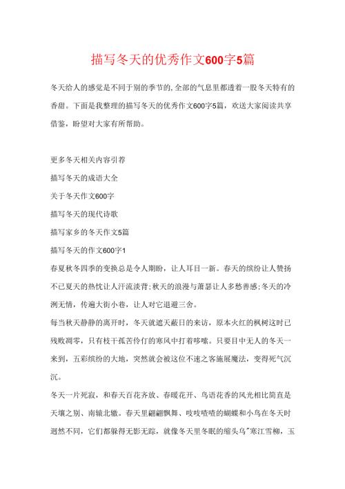 描写冬天的优秀作文600字5篇.docx
