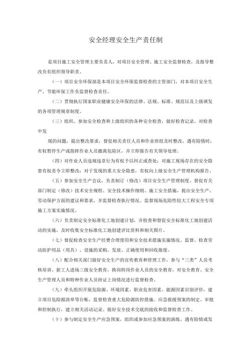 安全经理安全生产责任制.docx