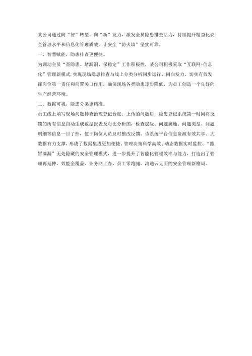 公司安全数字化管理工作总结报道.docx
