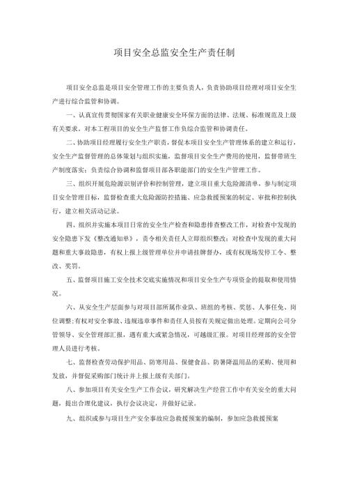 项目安全总监安全生产责任制.docx