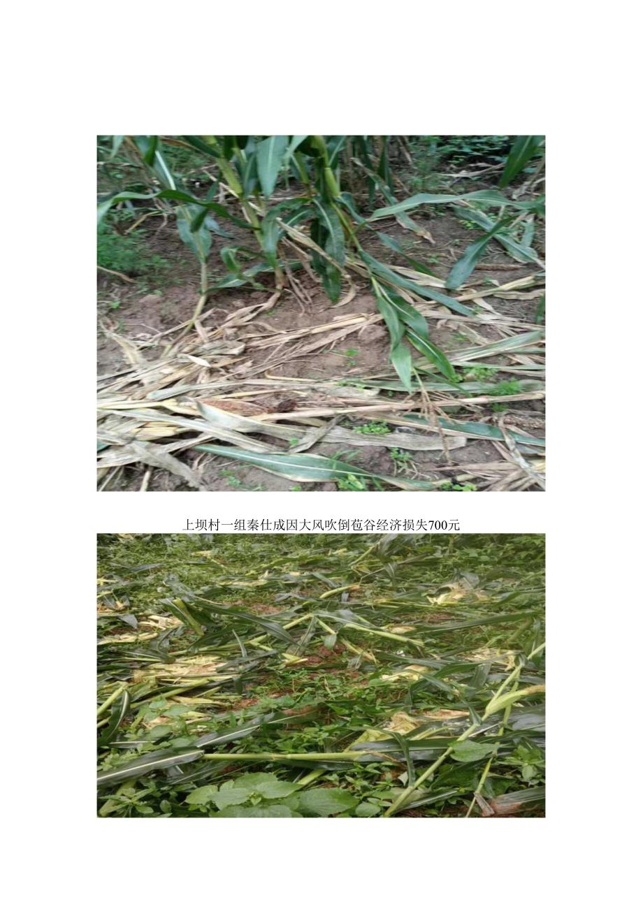 2024年7-16乌杨街道上坝村灾情报告.docx_第2页