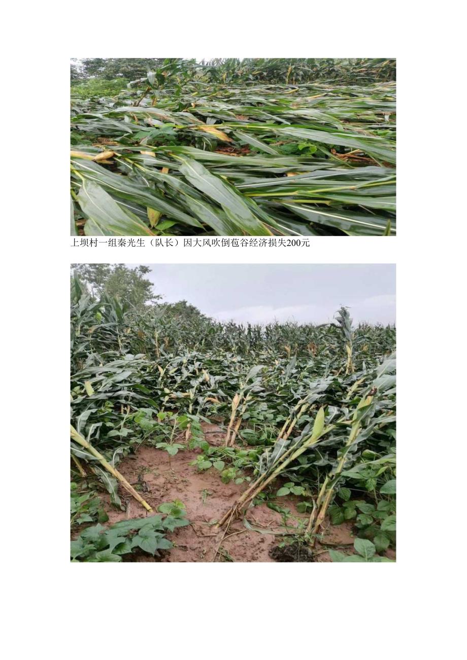 2024年7-16乌杨街道上坝村灾情报告.docx_第3页