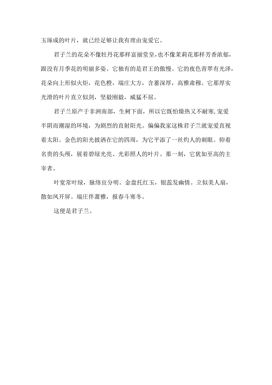 描写君子兰的作文500字.docx_第3页