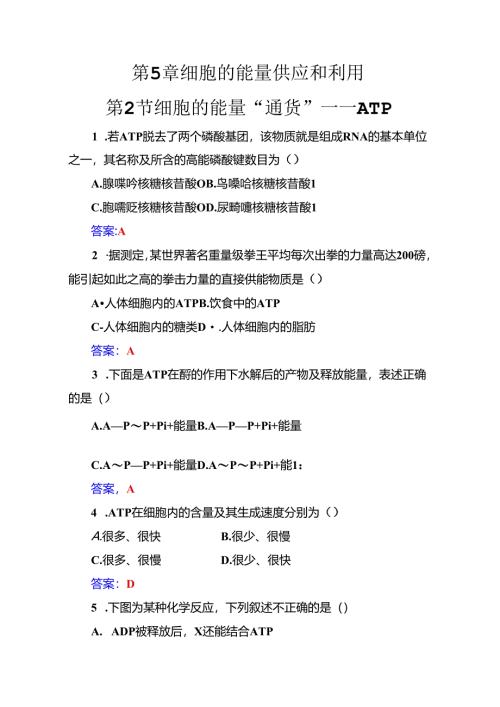 第5章第2节细胞的能量“通货”——ATP.docx