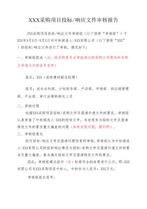 【2022-9-9】投标文件审核报告.docx