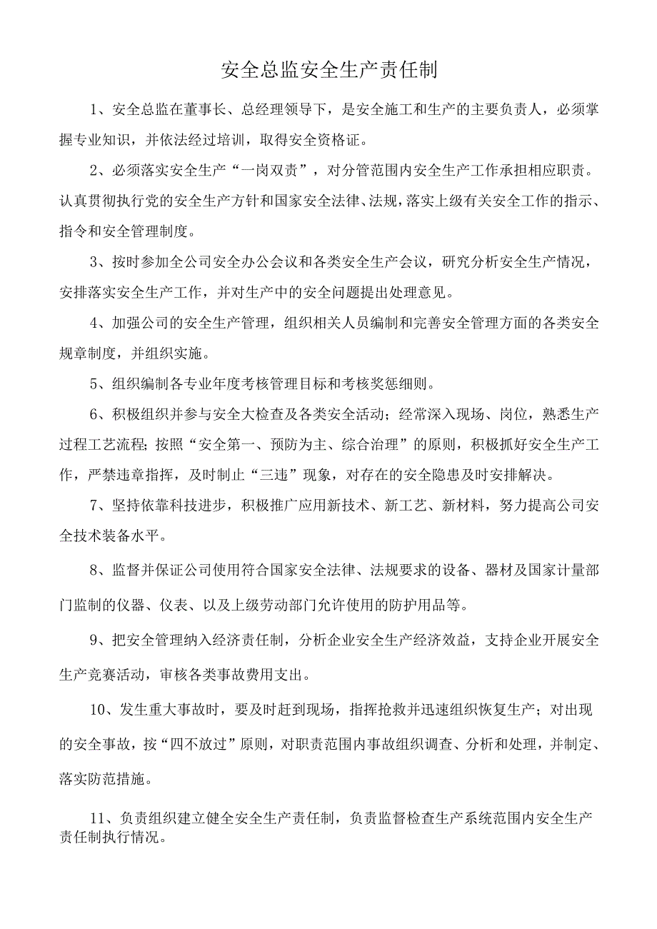 安全总监安全生产责任制.docx_第1页