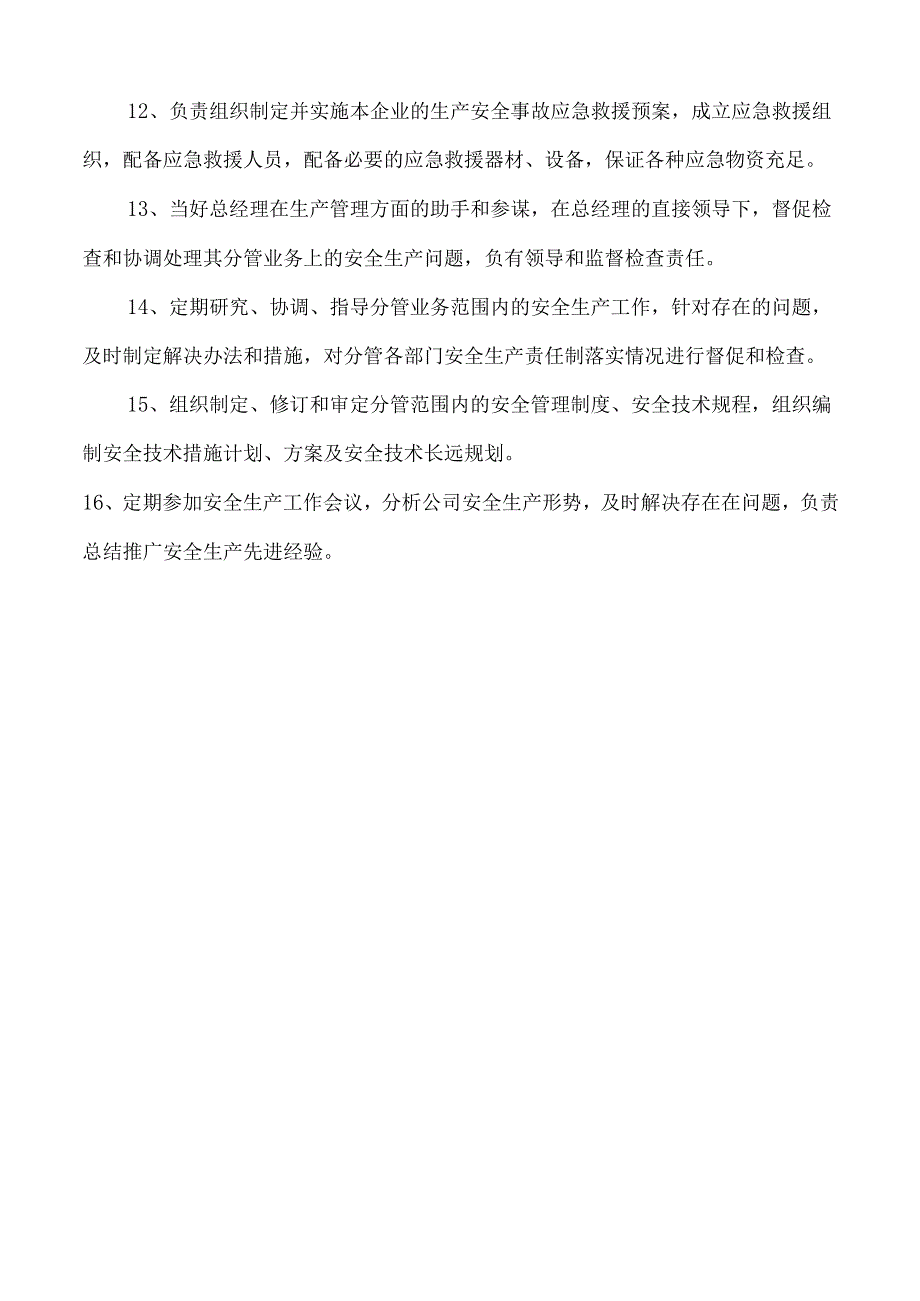 安全总监安全生产责任制.docx_第2页