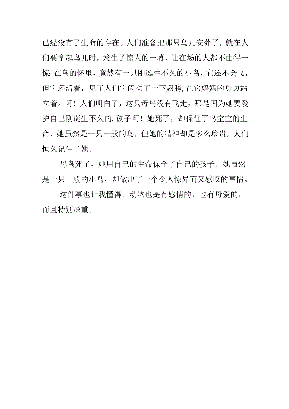 描写动物母爱的作文.docx_第3页