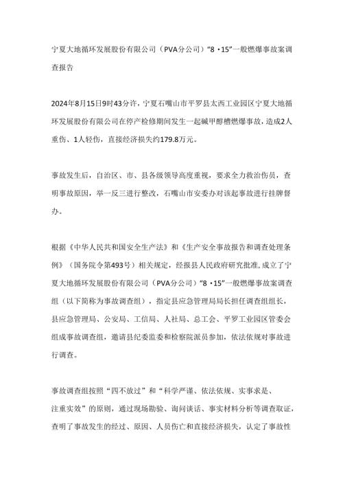 宁夏大地循环公司燃爆事故调查报告.docx