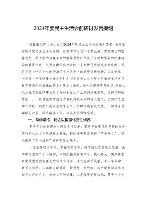 2024年度民主生活会前研讨发言提纲材料.docx