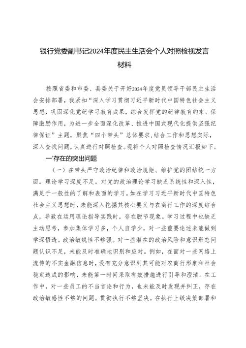 银行党委副书记2024年度民主生活会个人对照检视发言材料.docx