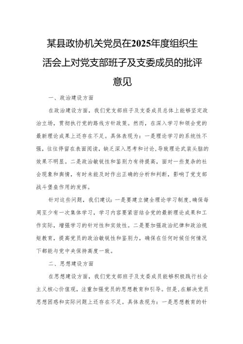 某县政协机关党员在2025年度组织生活会上对党支部班子及支委成员的批评意见.docx