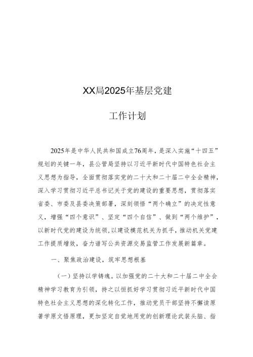 XX局2025年基层党建工作计划.docx