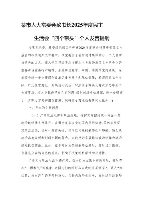 某市人大常委会秘书长2025年度民主生活会“四个带头”个人发言提纲3.docx