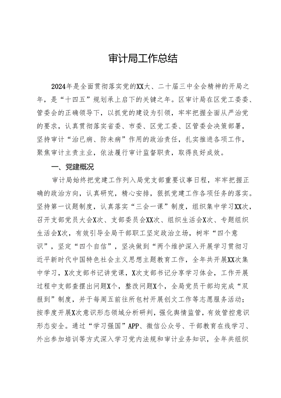 审计局2024年工作总结.docx_第1页