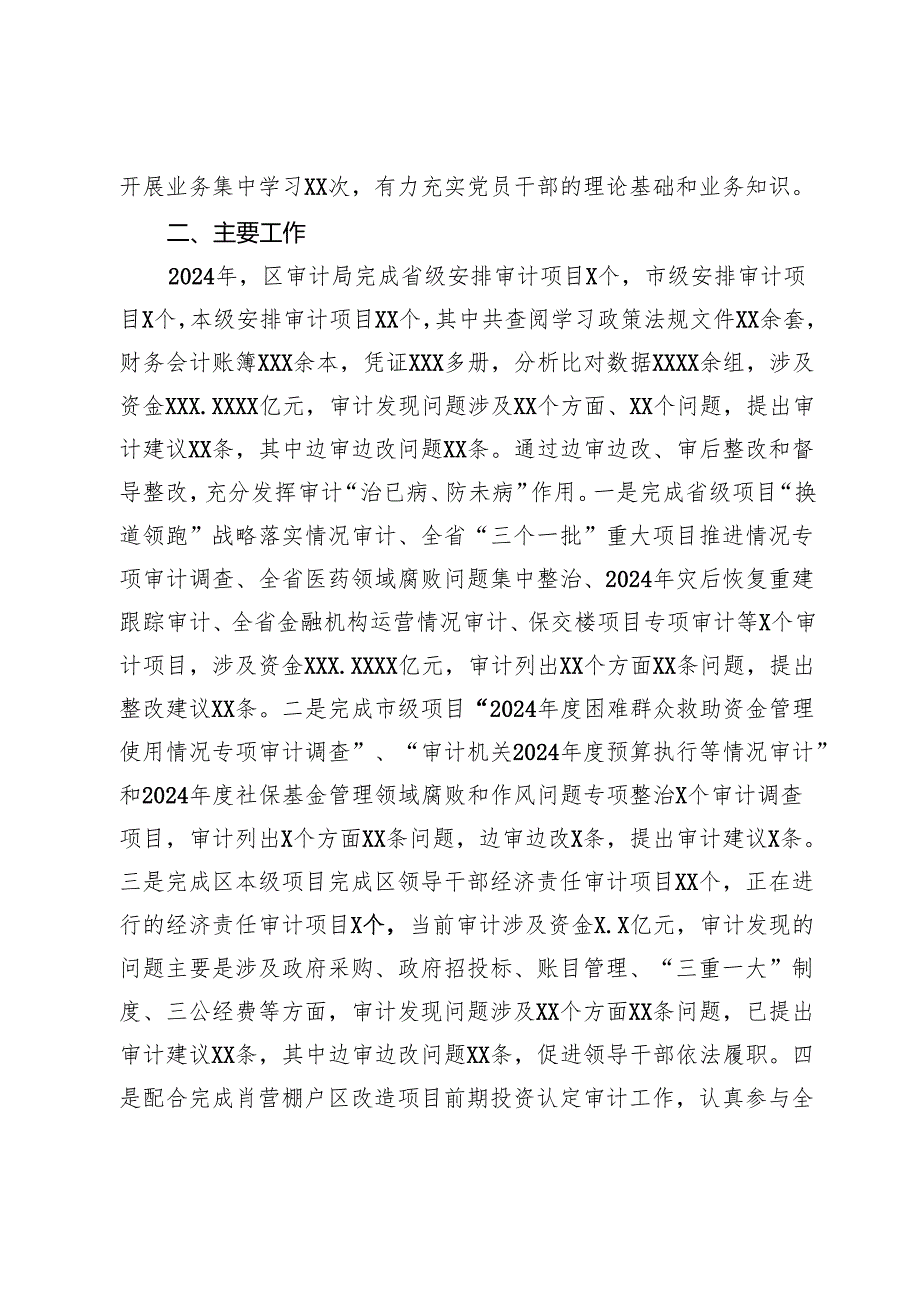 审计局2024年工作总结.docx_第2页