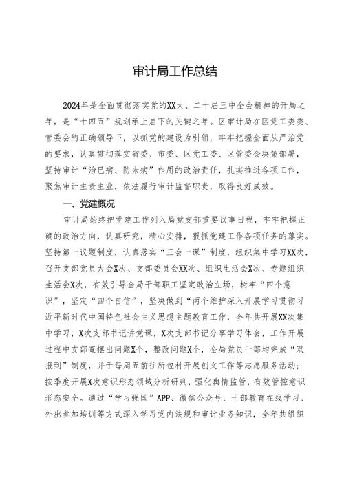 审计局2024年工作总结.docx