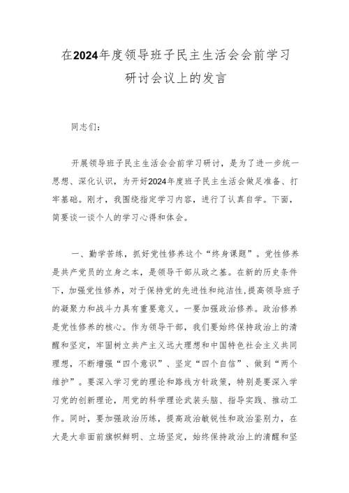 在2024年度领导班子民主生活会会前学习研讨会议上的发言.docx