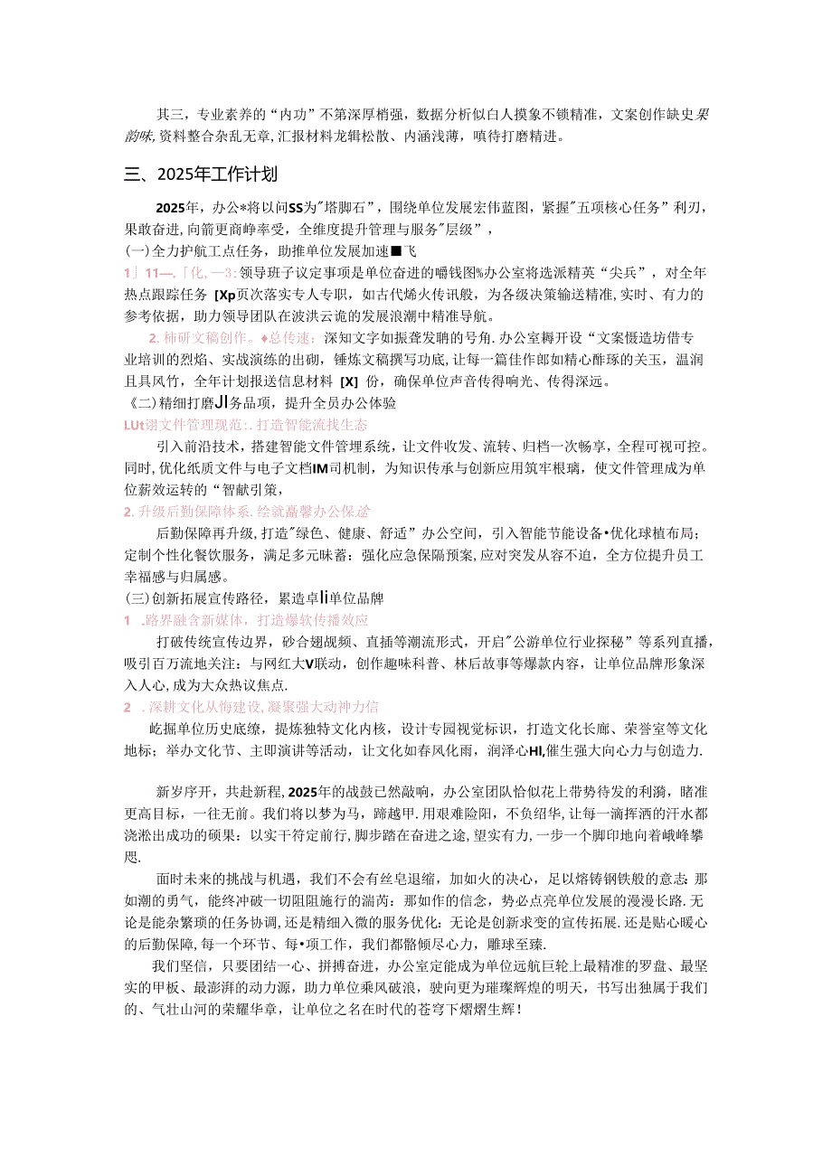 2024年办公室工作总结及2025年工作计划.docx_第2页