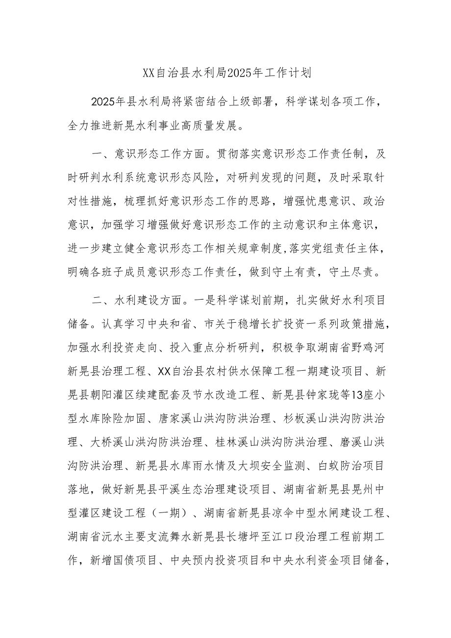 XX自治县水利局2025年工作计划.docx_第1页