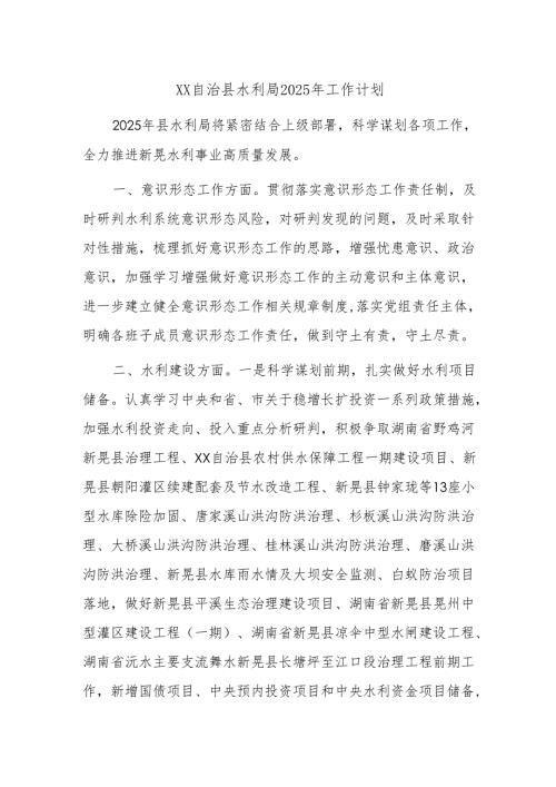 XX自治县水利局2025年工作计划.docx