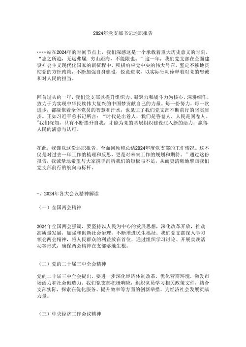 2024年党支部书记述职报告.docx