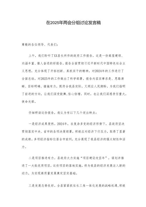 在2025年两会分组讨论发言稿.docx