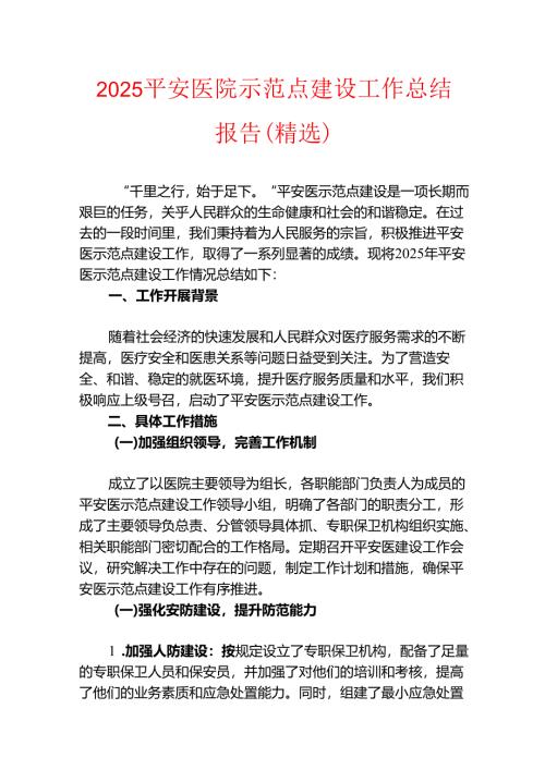 2025平安医院示范点建设工作总结报告（精选）.docx