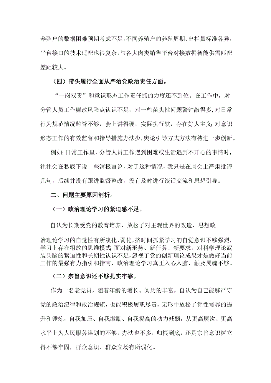 2025年生活会“四个带头”方面书记个人检视检查材料、发言提纲（两篇文）.docx_第3页