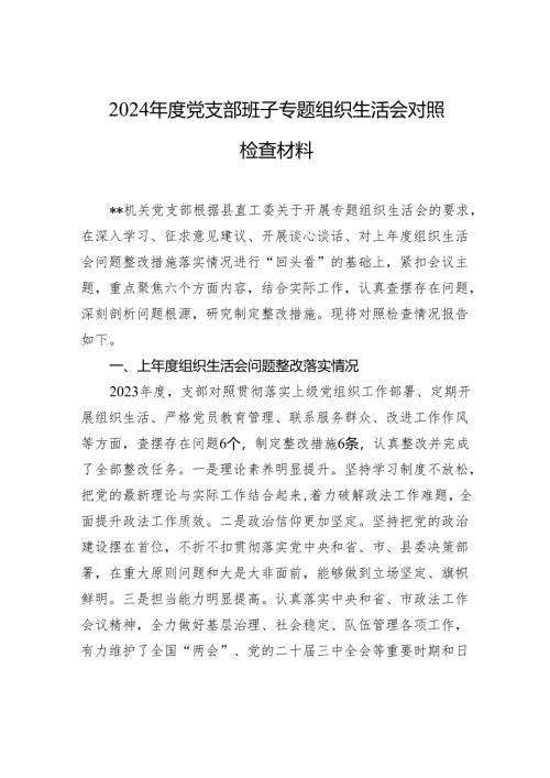 2024年度党支部班子专题组织生活会对照检查发言材料.docx