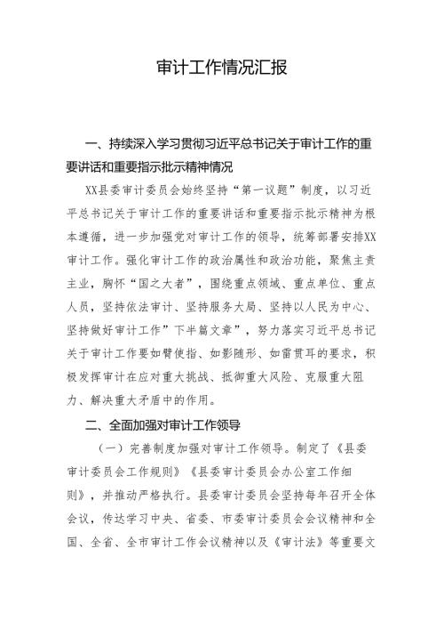 审计工作情况汇报.docx