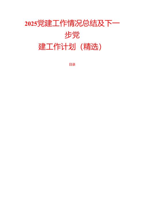 2025党建工作情况总结及下一步党建工作计划（精选）.docx