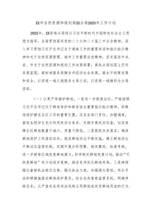 XX市自然资源和规划局XX分局2025年工作计划.docx