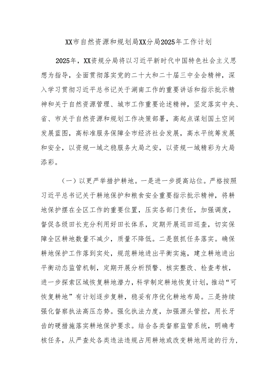 XX市自然资源和规划局XX分局2025年工作计划.docx_第1页