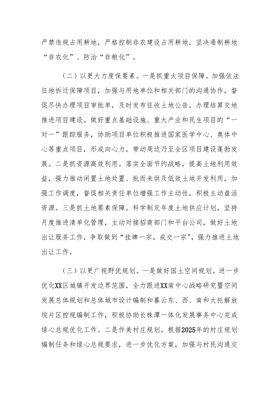 XX市自然资源和规划局XX分局2025年工作计划.docx_第2页