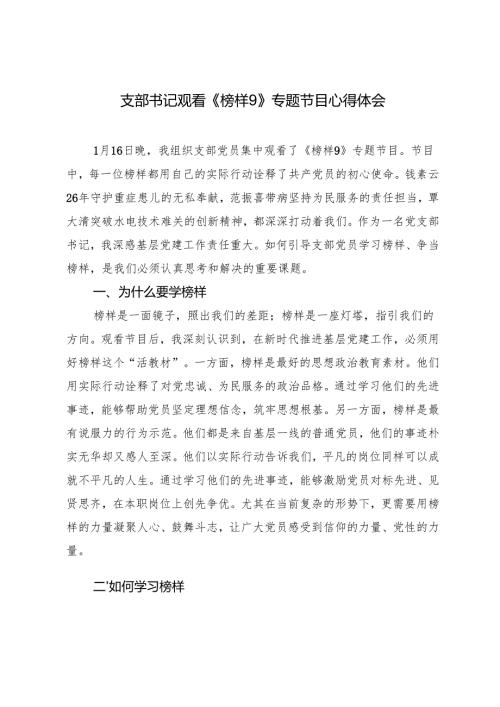 2025年支部书记观看《榜样9》专题节目心得体会.docx