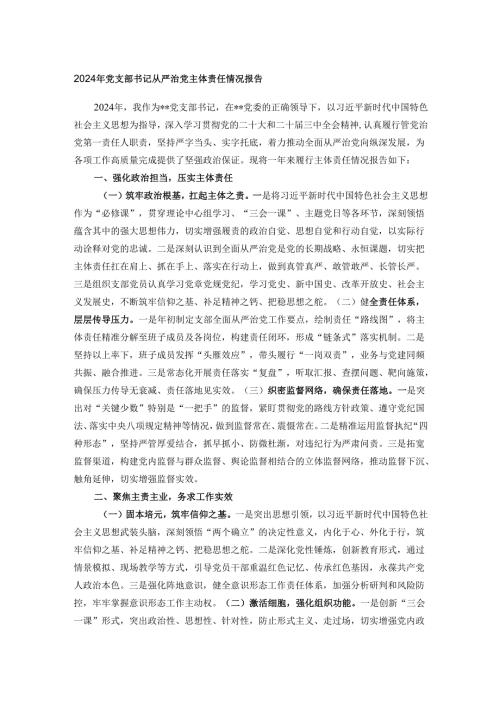 2024年党支部书记从严治党主体责任情况报告.docx