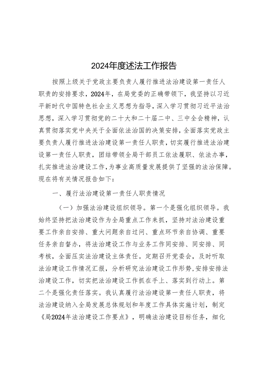 2024年度述法工作报告.docx_第1页
