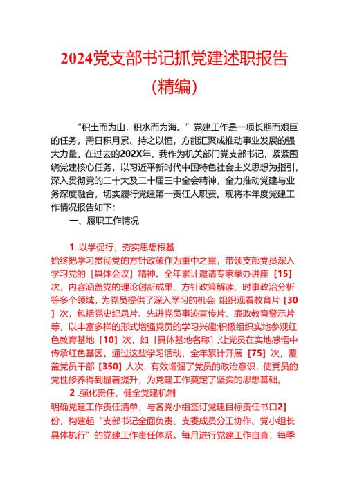 2024 党支部书记抓党建述职报告（精编）.docx