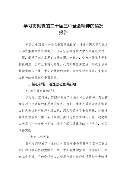2024年学习贯彻党的二十届三中全会精神总结报告两篇.docx