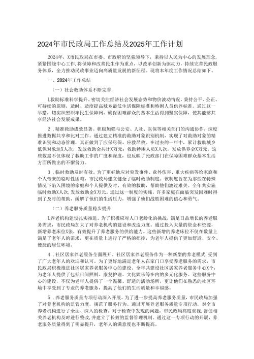 2024年市民政局工作总结及2025年工作计划.docx