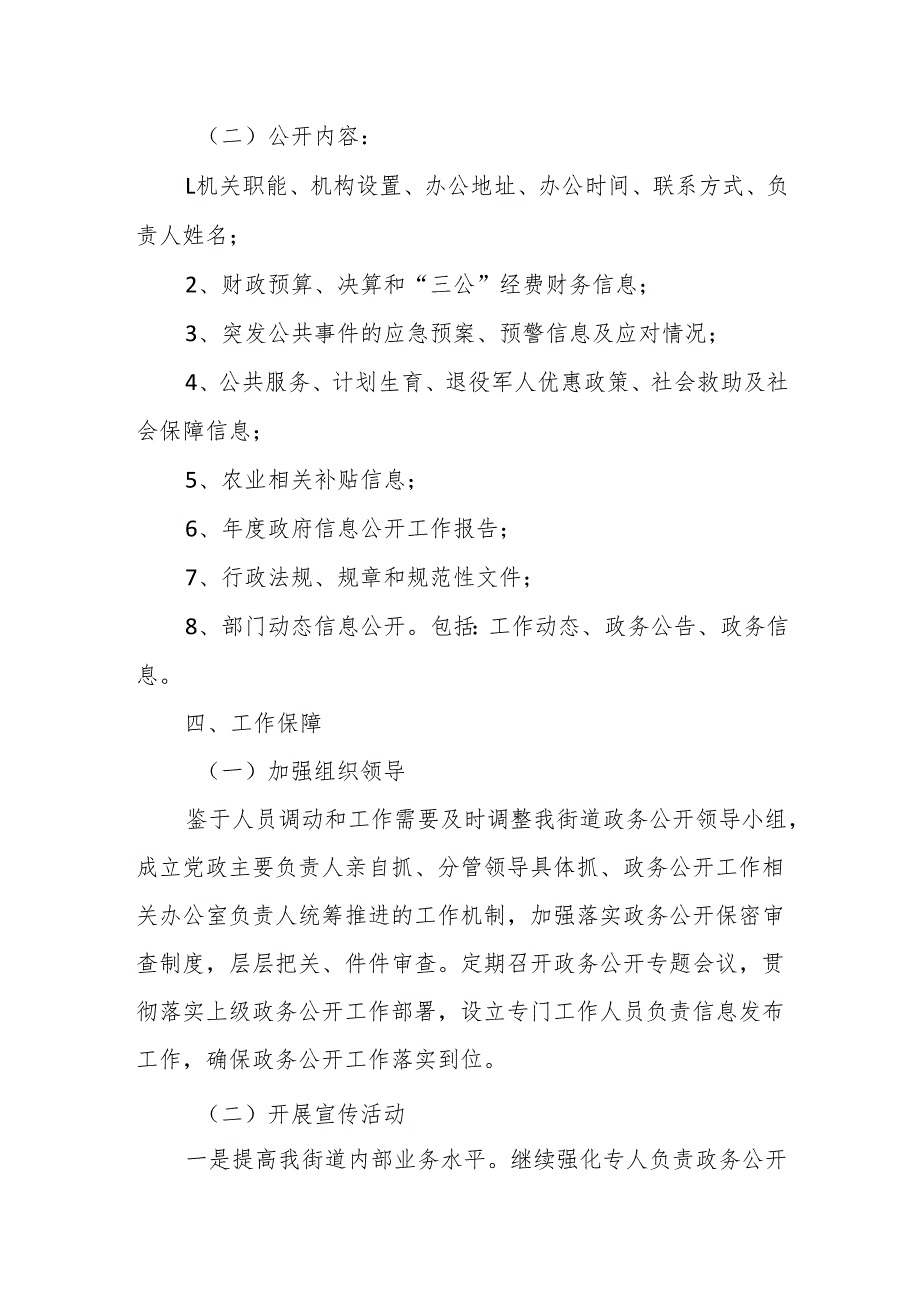 街道2024年政务信息公开工作计划.docx_第2页