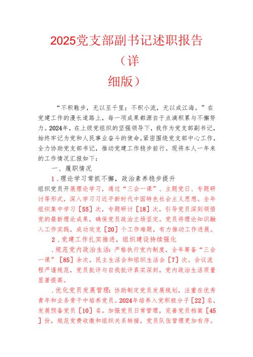 2025党支部副书记述职报告.docx