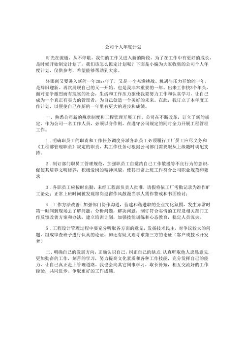 公司个人年度计划.docx