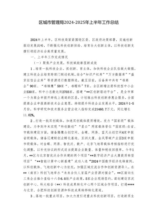 区城市管理局2024-2025年上半年工作总结.docx