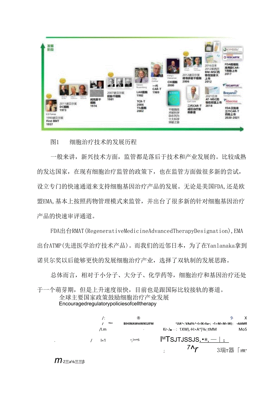 全球细胞治疗产业发展现状.docx_第2页