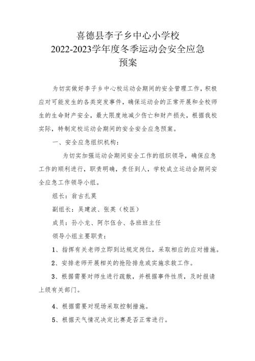 运动会安全应急预案.docx