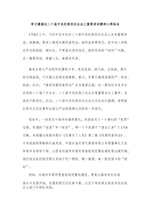 学习遵循在二十届中央纪委四次全会上重要讲话精神心得体会.docx